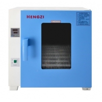 上海跃进电热恒温鼓风干燥箱HGZF-II-101-0